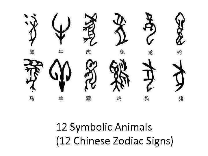 12 Symbolic Animals (12 Chinese Zodiac Signs) 