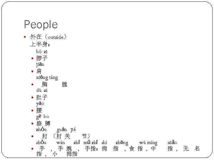 People 外在（outside） 上半身： bó zi 脖子 jiān 肩 xiōng táng 胸 膛 dù zi