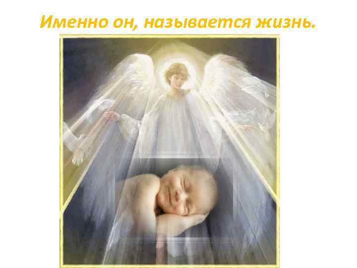 Именно он, называется жизнь. 
