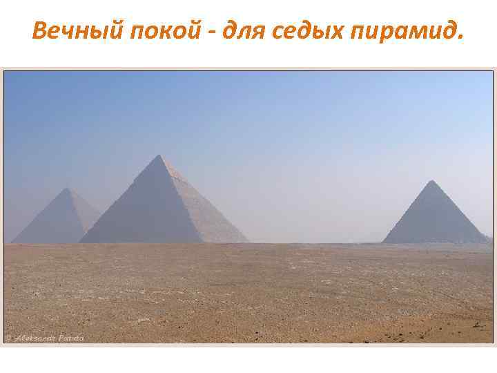 Вечный покой - для седых пирамид. 