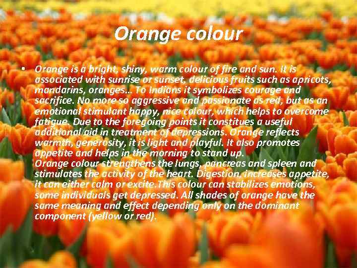 Orange colour • Orange is a bright, shiny, warm colour of fire and sun.