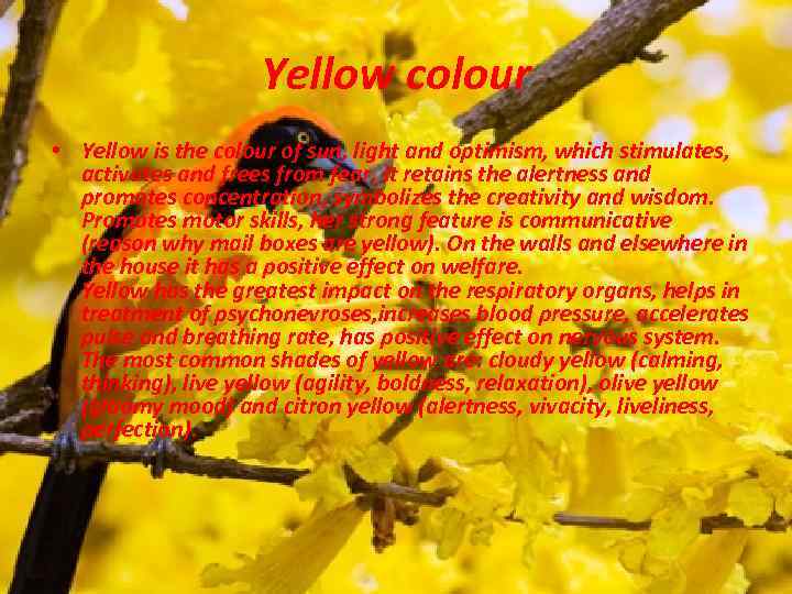 Yellow colour • Yellow is the colour of sun, light and optimism, which stimulates,