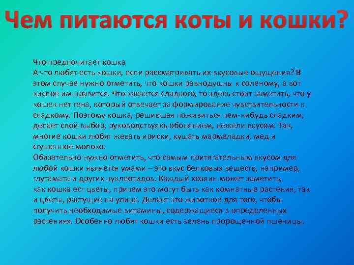 Чем питаются коты и кошки? Что предпочитает кошка А что любят есть кошки, если