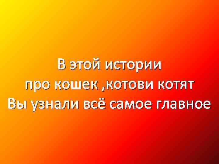 В этой истории про кошек , котови котят Вы узнали всё самое главное 
