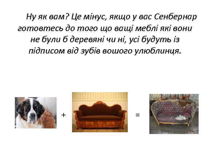 Ну як вам? Це мінус, якщо у вас Сенбернар готовтесь до того що ващі