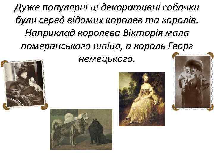 Дуже популярні ці декоративні собачки були серед відомих королев та королів. Наприклад королева Вікторія