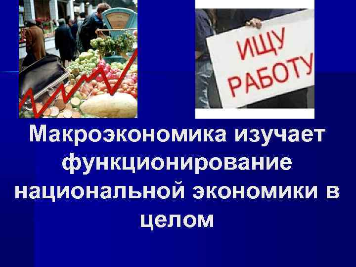 Макроэкономика изучает функционирование национальной экономики в целом 
