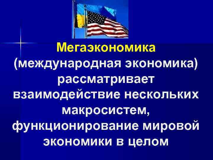 Мегаэкономика (международная экономика) рассматривает взаимодействие нескольких макросистем, функционирование мировой экономики в целом 