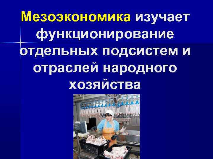 Мезоэкономика изучает функционирование отдельных подсистем и отраслей народного хозяйства 