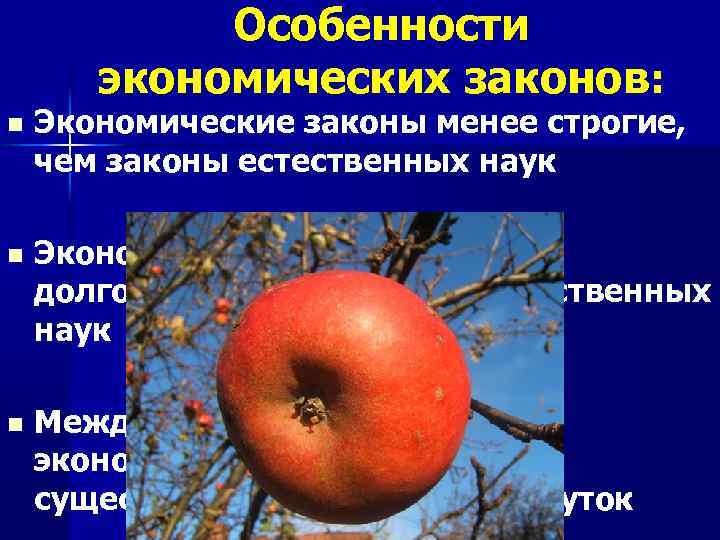 Особенности экономических законов: n Экономические законы менее строгие, чем законы естественных наук n Экономические