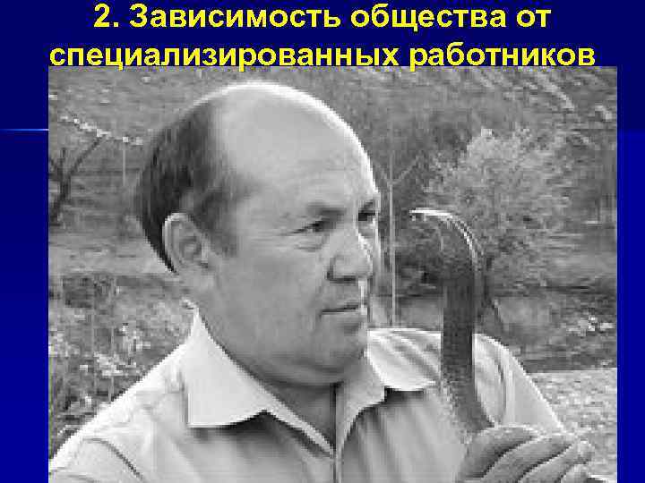 2. Зависимость общества от специализированных работников 
