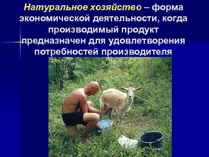 Натуральное хозяйство – форма экономической деятельности, когда производимый продукт предназначен для удовлетворения потребностей производителя
