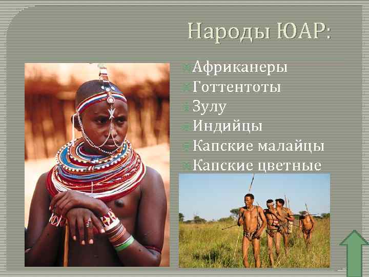 Народы ЮАР: Африканеры Готтентоты Зулу Индийцы Капские малайцы Капские цветные 