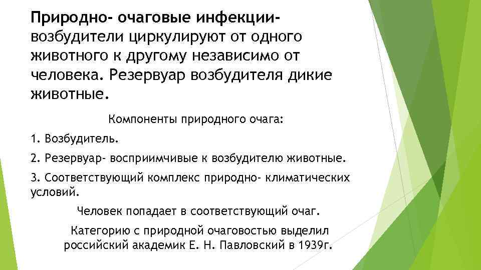 Природно- очаговые инфекциивозбудители циркулируют от одного животного к другому независимо от человека. Резервуар возбудителя