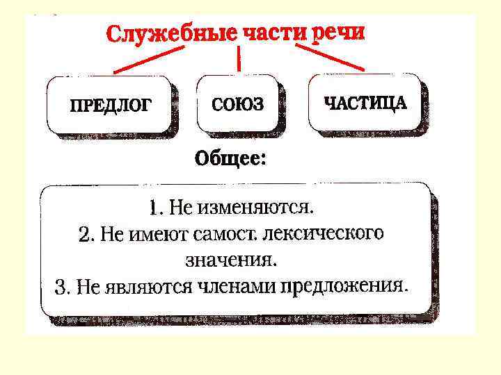 Схема служебные части речи и их особенности