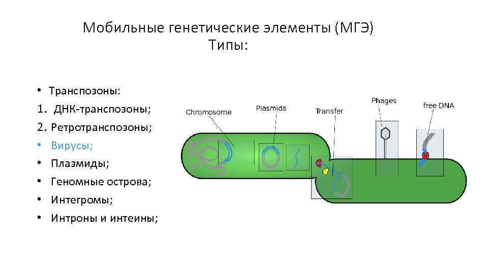 Схема короткозамкнутого микрогальванического элемента за счет различной толщины слоя воды