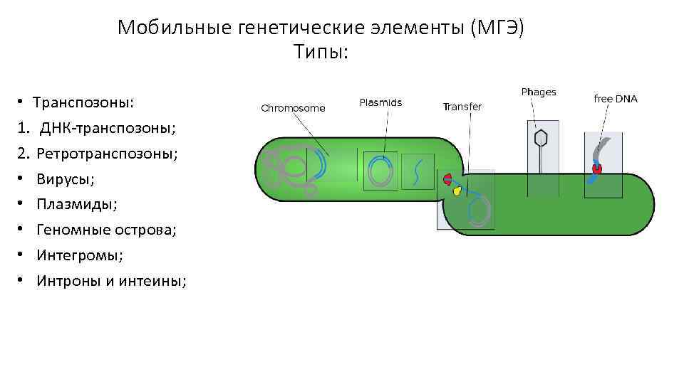 Схема короткозамкнутого микрогальванического элемента за счет различной толщины слоя воды