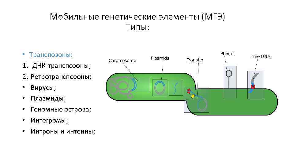 Схема короткозамкнутого микрогальванического элемента за счет различной толщины слоя воды