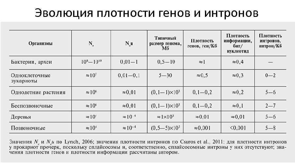 Эффективный размер. Размер генома бактерий. Размеры геномов у микроорганизмов. Размер бактериального генома. Таблица геномов.