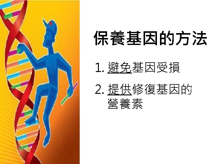 保養基因的方法 1. 避免基因受損 2. 提供修復基因的 營養素 