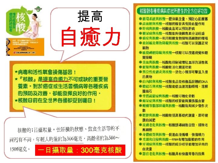 提高 自癒力 一日攝取量： 300毫克核酸 