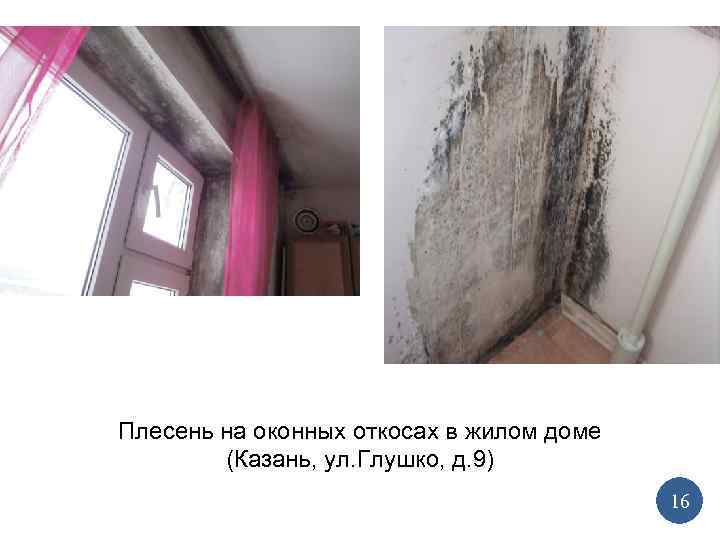 Плесень на оконных откосах в жилом доме (Казань, ул. Глушко, д. 9) 16 