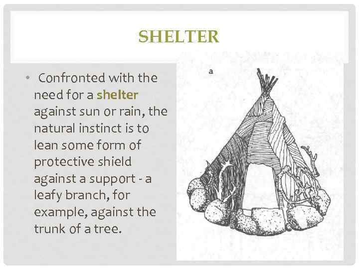 SHELTER • Confronted with the need for a shelter against sun or rain, the