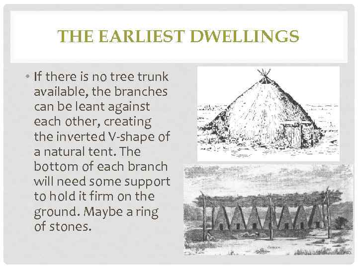 THE EARLIEST DWELLINGS • If there is no tree trunk available, the branches can
