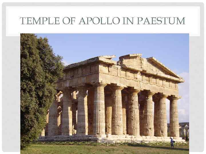 TEMPLE OF APOLLO IN PAESTUM 