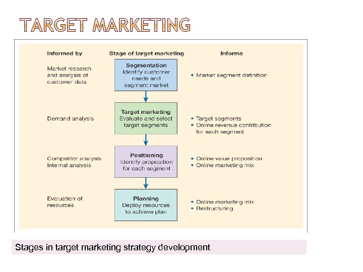 Stages in target marketing strategy development 