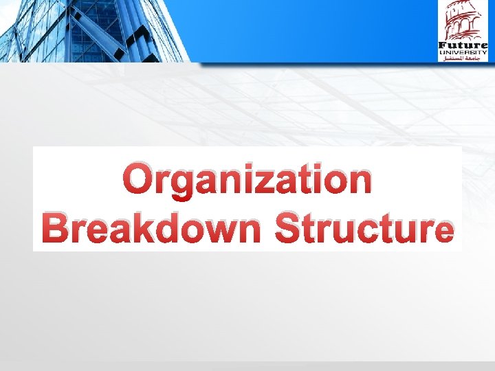 Organization Breakdown Structure 