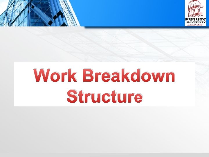 Work Breakdown Structure 