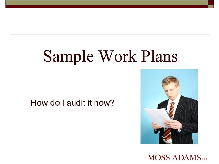 Sample Work Plans How do I audit it now? 