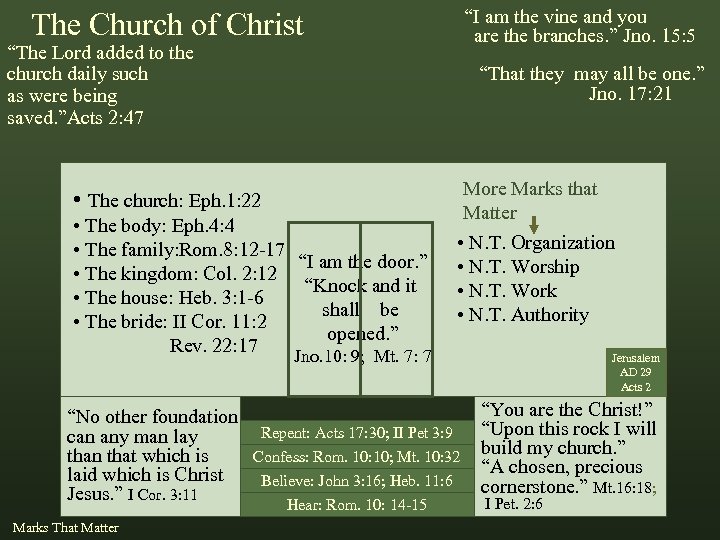 “I am the vine and you are the branches. ” Jno. 15: 5 The