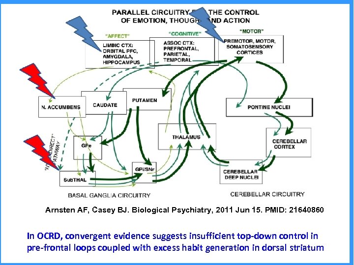 Arnsten AF, Casey BJ. Biological Psychiatry, 2011 Jun 15. PMID: 21640860 In OCRD, convergent