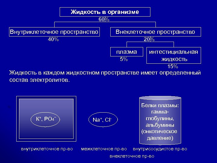 В каких случаях жидкость. Внутриклеточная жидкость и внеклеточная жидкость. Жидкие среды организма внутриклеточные и внеклеточные. Внеклеточная жидкость в организме. Внутриклеточное пространство.