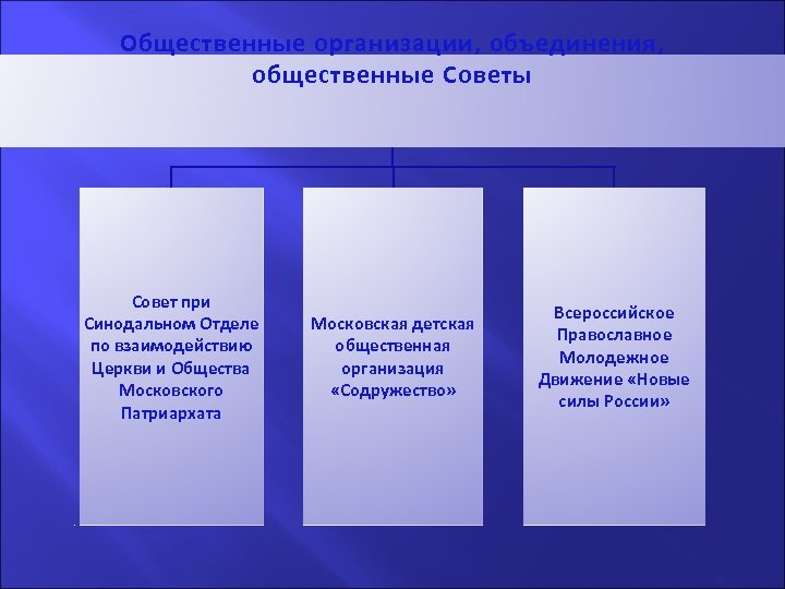 Общественные организации, объединения, общественные Советы Совет при Синодальном Отделе по взаимодействию Церкви и Общества