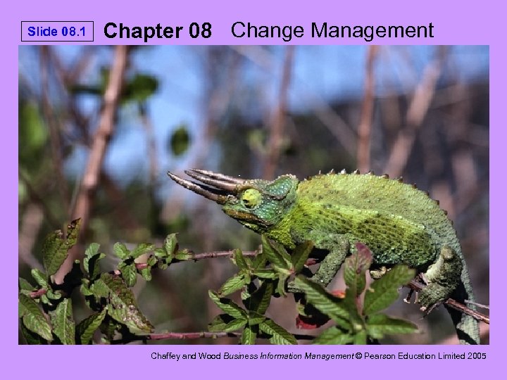 Slide 08. 1 Chapter 08 Change Management Chaffey and Wood Business Information Management ©