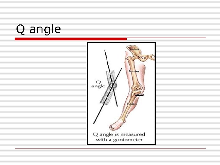 Q angle 