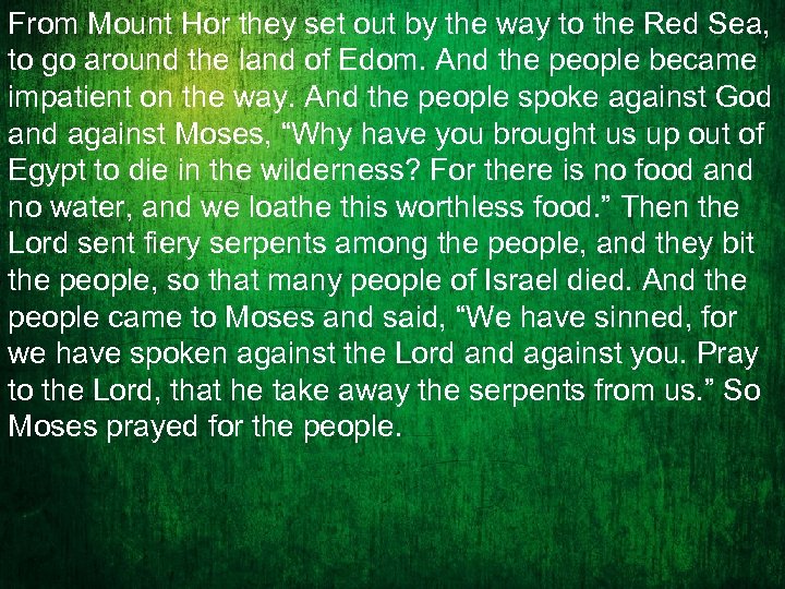 From Mount Hor they set out by the way to the Red Sea, to