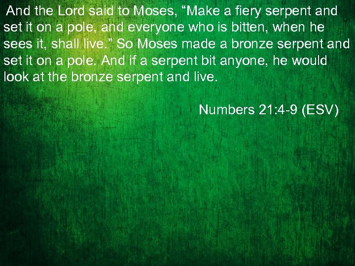  And the Lord said to Moses, “Make a fiery serpent and set it