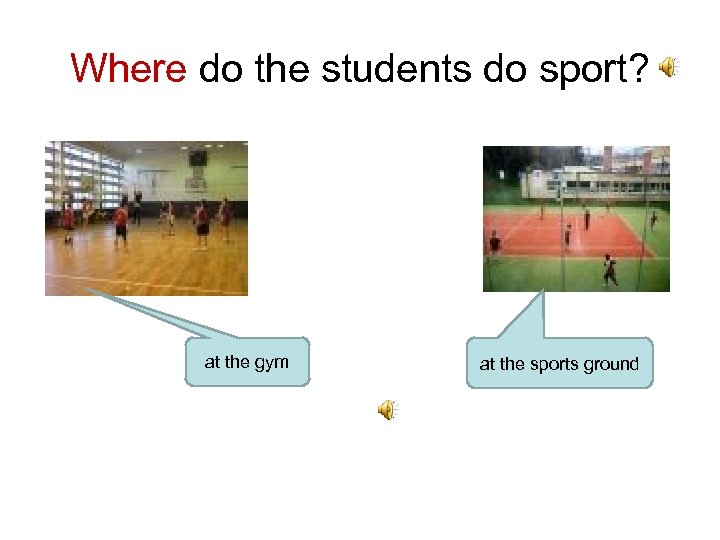 Where do the students do sport? at the gym at the sports ground 