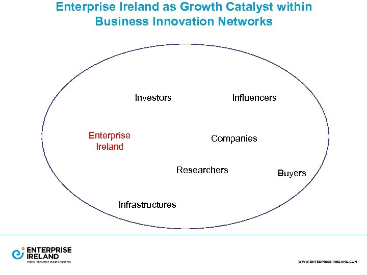 Enterprise Ireland as Growth Catalyst within Business Innovation Networks Investors Influencers Enterprise Ireland Companies