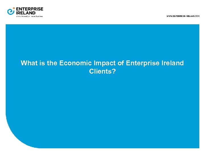 What is the Economic Impact of Enterprise Ireland Clients? 