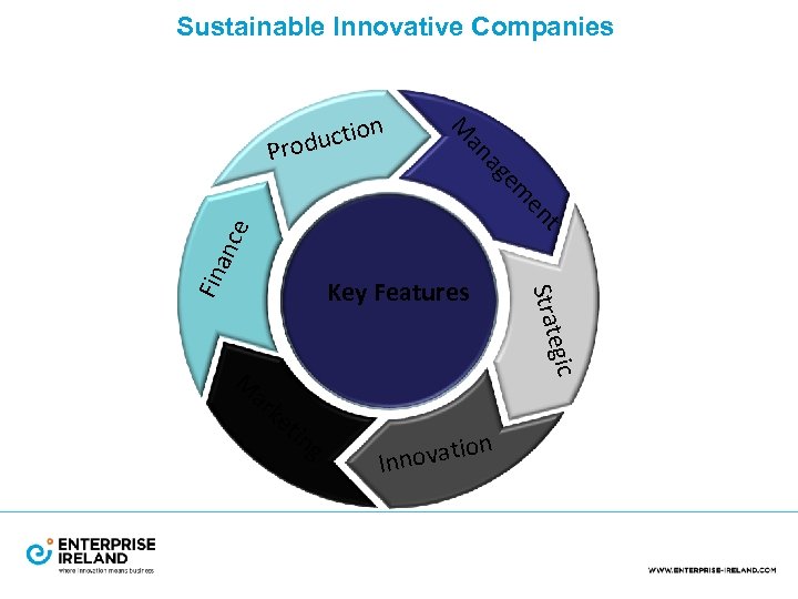 Sustainable Innovative Companies Key Features gic e Strat Fin anc e t en em