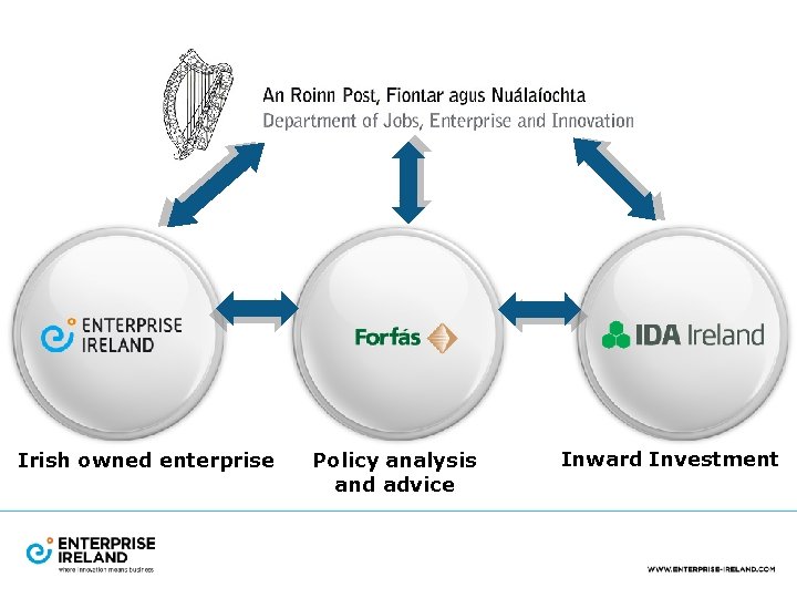 Irish owned enterprise Policy analysis and advice Inward Investment 