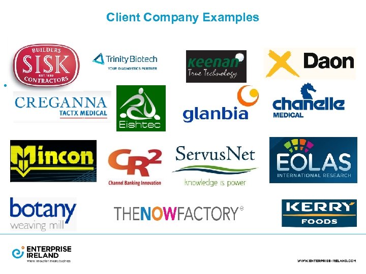 Client Company Examples • 