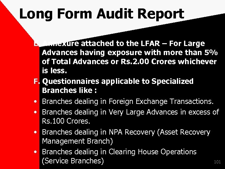 Long Form Audit Report E. Annexure attached to the LFAR – For Large Advances