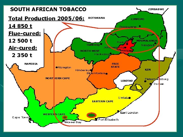 SOUTH AFRICAN TOBACCO Total Production 2005/06: 14 850 t Flue-cured: 12 500 t Air-cured: