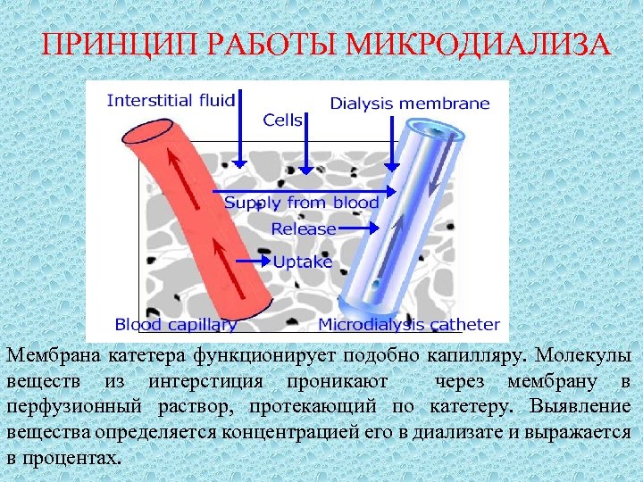 ПРИНЦИП РАБОТЫ МИКРОДИАЛИЗА Мембрана катетера функционирует подобно капилляру. Молекулы веществ из интерстиция проникают через